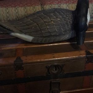 Meet your Posher, Sue